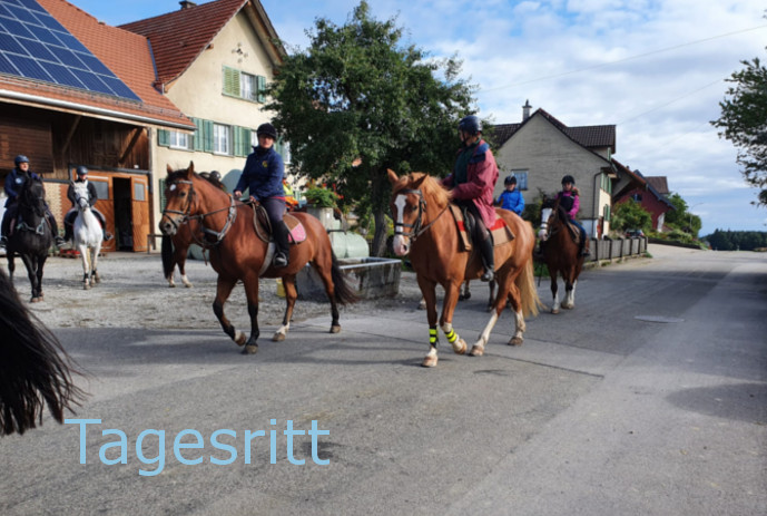 Tagesritt 2022